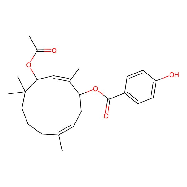 2D Structure of [(2E,4R,9E)-4-acetoxy-2,5,5,9-tetramethyl-cycloundeca-2,9-dien-1-yl] 4-hydroxybenzoate
