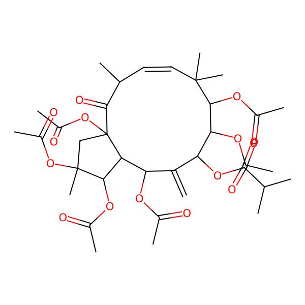 2D Structure of [(1S,2S,3aS,5S,6E,9R,10R,11R,13S,13aR)-1,2,3a,9,10,13-hexaacetyloxy-2,5,8,8-tetramethyl-12-methylidene-4-oxo-1,3,5,9,10,11,13,13a-octahydrocyclopenta[12]annulen-11-yl] 2-methylpropanoate