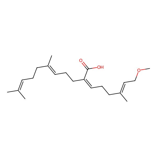 2D Structure of (2E,5E)-2-[(E)-6-methoxy-4-methylhex-4-enylidene]-6,10-dimethylundeca-5,9-dienoic acid
