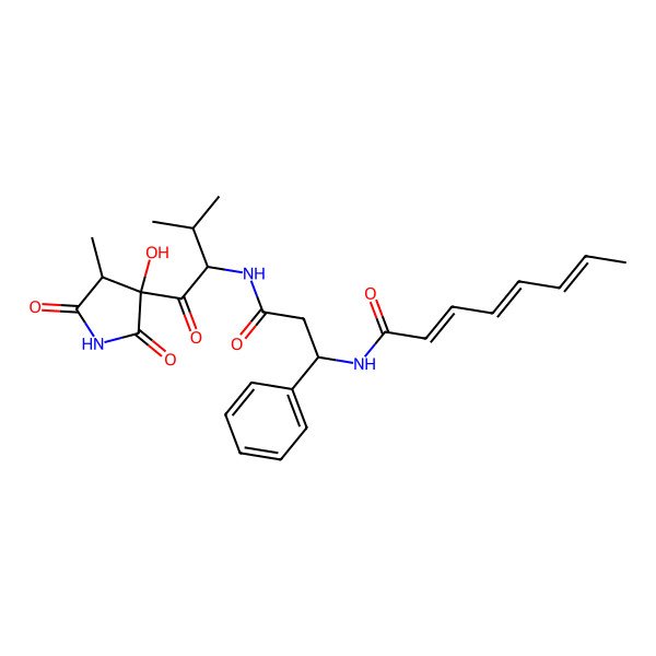 2D Structure of N-[3-[[1-(3-hydroxy-4-methyl-2,5-dioxopyrrolidin-3-yl)-3-methyl-1-oxobutan-2-yl]amino]-3-oxo-1-phenylpropyl]octa-2,4,6-trienamide