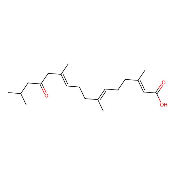 2D Structure of (2E,6E,10E)-3,7,11,15-tetramethyl-13-oxohexadeca-2,6,10-trienoic acid
