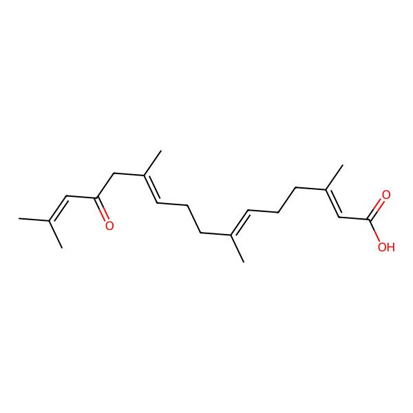 2D Structure of (2E,6E,10E)-3,7,11,15-tetramethyl-13-oxohexadeca-2,6,10,14-tetraenoic acid