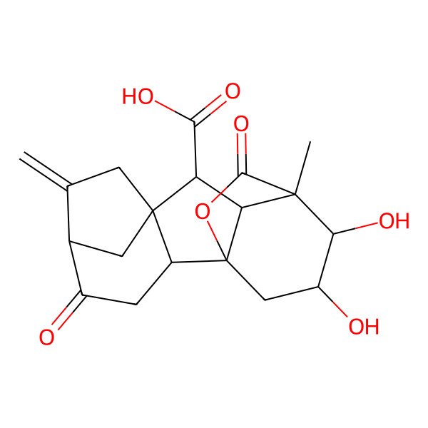 2D Structure of (1R,2R,5R,8R,9S,10R,11S,12R,13S)-12,13-dihydroxy-11-methyl-6-methylidene-4,16-dioxo-15-oxapentacyclo[9.3.2.15,8.01,10.02,8]heptadecane-9-carboxylic acid