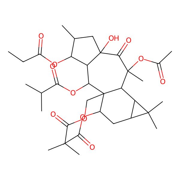 2D Structure of [(1R,2R,3R,4S,5S,7R,9S,10R,11S,13S,15R)-9,15-diacetyloxy-7-hydroxy-5,9,12,12-tetramethyl-2-(2-methylpropanoyloxy)-8-oxo-4-propanoyloxy-1-tetracyclo[8.5.0.03,7.011,13]pentadecanyl]methyl 2-methylpropanoate