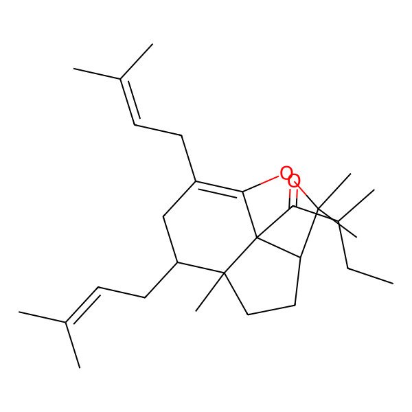 2D Structure of 2-Methyl-1-[3,3,7-trimethyl-8,10-bis(3-methylbut-2-enyl)-2-oxatricyclo[5.3.1.04,11]undec-1(10)-en-11-yl]butan-1-one
