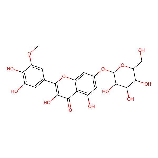 2D Structure of 2-(3,4-dihydroxy-5-methoxyphenyl)-3,5-dihydroxy-7-[(3R,4S,5S,6R)-3,4,5-trihydroxy-6-(hydroxymethyl)oxan-2-yl]oxychromen-4-one