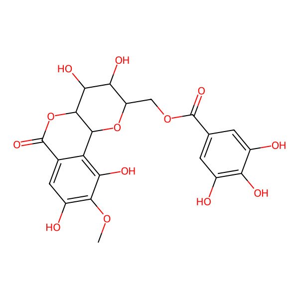 2D Structure of [(2R,3R,4S,4aR,10bS)-3,4,8,10-tetrahydroxy-9-methoxy-6-oxo-3,4,4a,10b-tetrahydro-2H-pyrano[3,2-c]isochromen-2-yl]methyl 3,4,5-trihydroxybenzoate