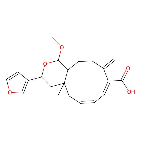 2D Structure of (1R,3S,4aS,6Z,8E,12aR)-3-(furan-3-yl)-1-methoxy-4a-methyl-10-methylidene-3,4,5,11,12,12a-hexahydro-1H-cyclodeca[c]pyran-9-carboxylic acid