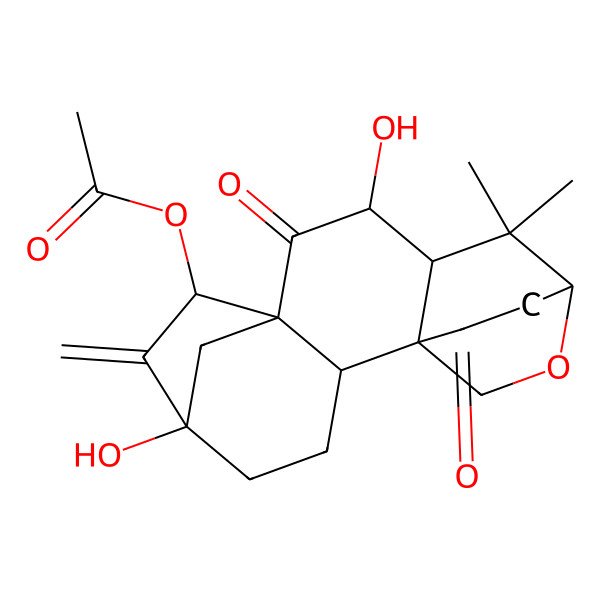 2D Structure of (5,10-Dihydroxy-12,12-dimethyl-6-methylidene-9,16-dioxo-14-oxapentacyclo[11.2.2.15,8.01,11.02,8]octadecan-7-yl) acetate