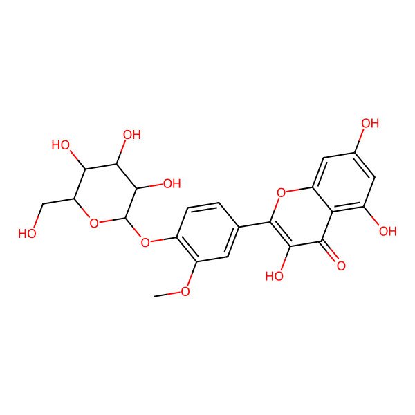 2D Structure of 3,5,7-trihydroxy-2-[3-methoxy-4-[(2R,3R,4S,5S,6R)-3,4,5-trihydroxy-6-(hydroxymethyl)oxan-2-yl]oxyphenyl]chromen-4-one