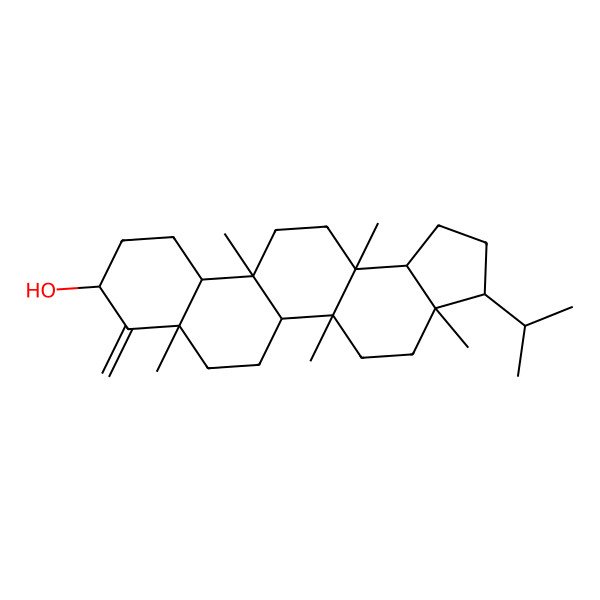 2D Structure of (3R,3aR,5aR,5bS,7aS,9R,11aS,11bR,13aS,13bR)-3a,5a,7a,11b,13a-pentamethyl-8-methylidene-3-propan-2-yl-2,3,4,5,5b,6,7,9,10,11,11a,12,13,13b-tetradecahydro-1H-cyclopenta[a]chrysen-9-ol