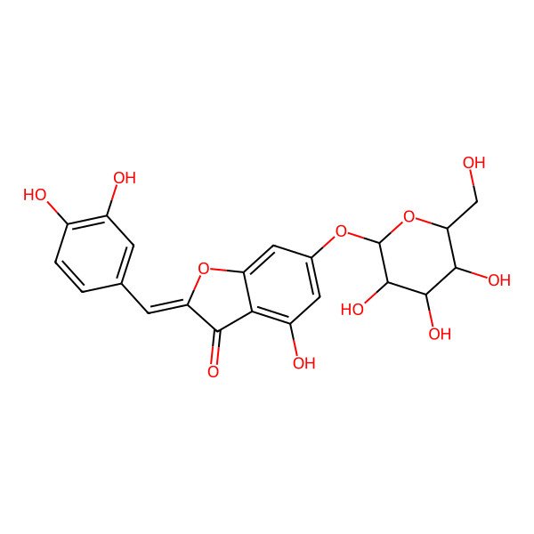 2D Structure of 2-[(3,4-dihydroxyphenyl)methylidene]-4-hydroxy-6-[(2R,3R,4S,5S,6R)-3,4,5-trihydroxy-6-(hydroxymethyl)oxan-2-yl]oxy-1-benzofuran-3-one