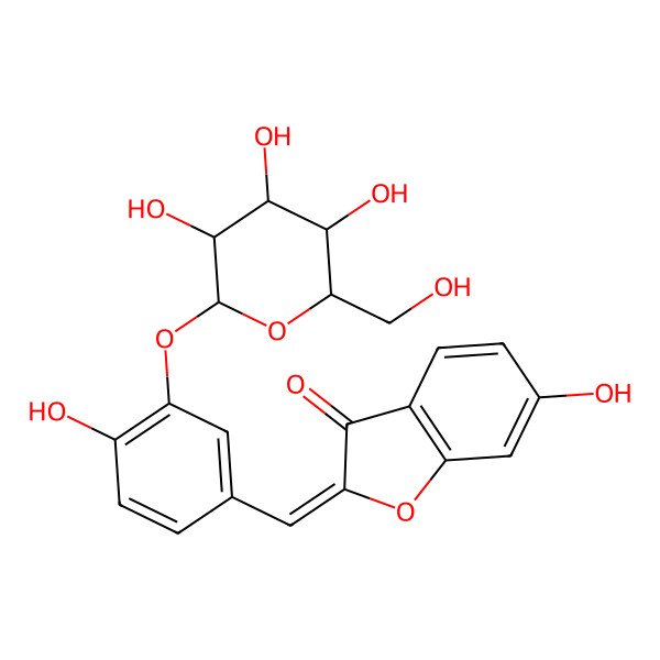 2D Structure of (2Z)-6-hydroxy-2-[[4-hydroxy-3-[(2S,3R,4S,5S,6R)-3,4,5-trihydroxy-6-(hydroxymethyl)oxan-2-yl]oxyphenyl]methylidene]-1-benzofuran-3-one