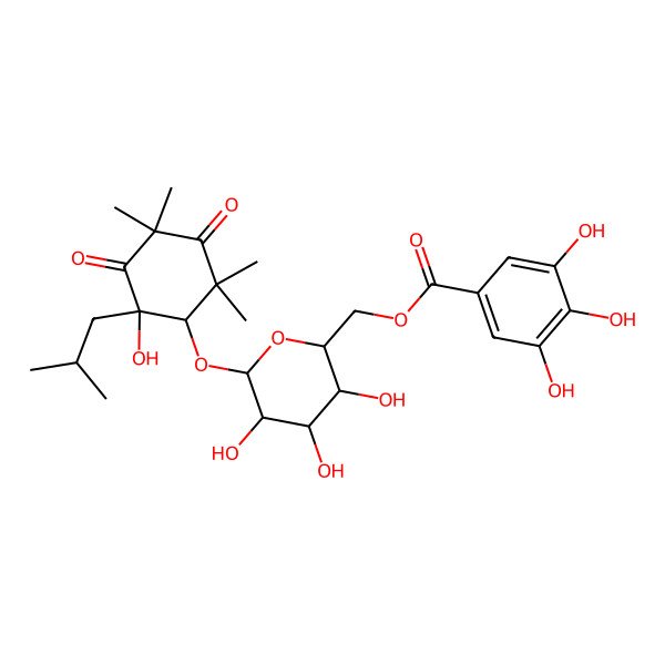 2D Structure of [3,4,5-Trihydroxy-6-[2-hydroxy-4,4,6,6-tetramethyl-2-(2-methylpropyl)-3,5-dioxocyclohexyl]oxyoxan-2-yl]methyl 3,4,5-trihydroxybenzoate
