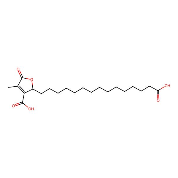 2D Structure of (2R)-2-(14-carboxytetradecyl)-4-methyl-5-oxo-2H-furan-3-carboxylic acid