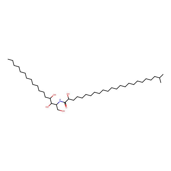 2D Structure of (2R)-2-hydroxy-23-methyl-N-[(2S,3S,4R)-1,3,4-trihydroxyheptadecan-2-yl]tetracosanamide