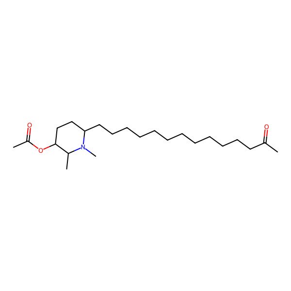 2D Structure of [(2R,3R,6S)-1,2-dimethyl-6-(13-oxotetradecyl)piperidin-3-yl] acetate
