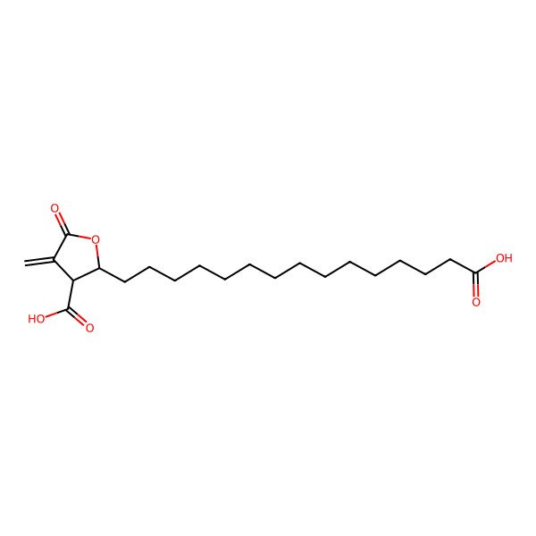 2D Structure of (2R,3S)-2-(14-carboxytetradecyl)-4-methylidene-5-oxooxolane-3-carboxylic acid