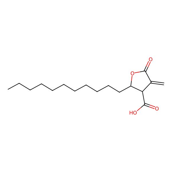 2D Structure of (2R,3S)-4-methylidene-5-oxo-2-undecyloxolane-3-carboxylic acid
