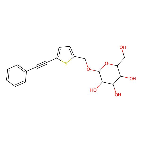 2D Structure of (2R,3S,4S,5R,6R)-2-(hydroxymethyl)-6-[[5-(2-phenylethynyl)thiophen-2-yl]methoxy]oxane-3,4,5-triol