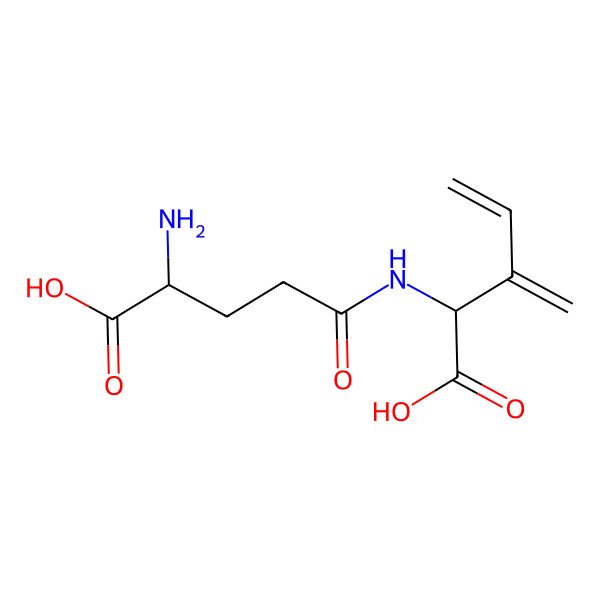 2D Structure of (2S)-2-[[(4S)-4-amino-4-carboxybutanoyl]amino]-3-methylidenepent-4-enoic acid