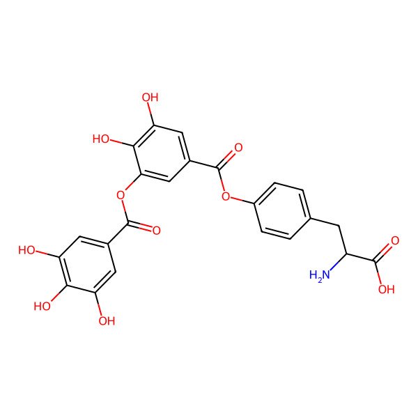 2D Structure of (2S)-2-amino-3-[4-[3,4-dihydroxy-5-(3,4,5-trihydroxybenzoyl)oxybenzoyl]oxyphenyl]propanoic acid