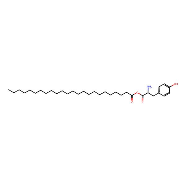 2D Structure of [(2S)-2-amino-3-(4-hydroxyphenyl)propanoyl] tetracosanoate