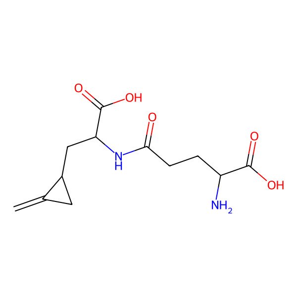 2D Structure of (2S)-2-amino-5-(((1S)-1-carboxy-2-(2-methylidenecyclopropyl)ethyl)amino)-5-oxopentanoic acid