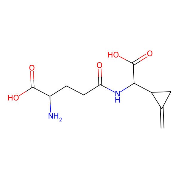 2D Structure of (2S)-2-amino-5-[[(S)-carboxy-[(1S)-2-methylidenecyclopropyl]methyl]amino]-5-oxopentanoic acid