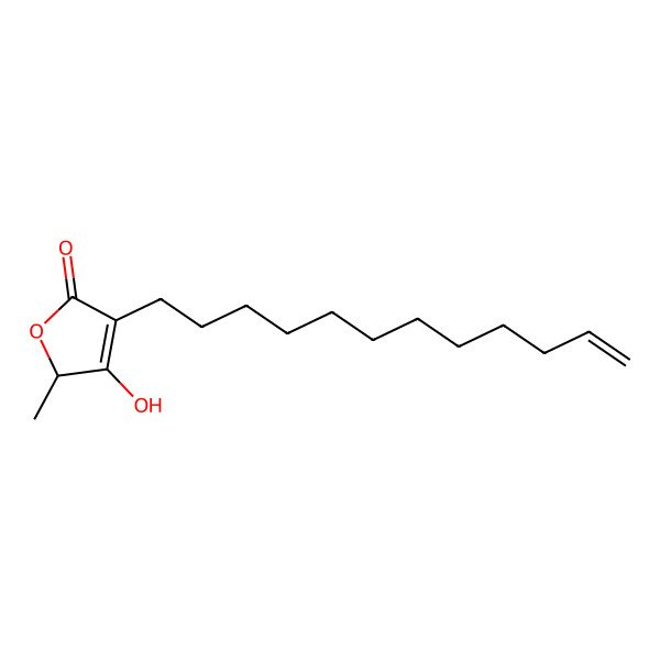 2D Structure of (2S)-4-dodec-11-enyl-3-hydroxy-2-methyl-2H-furan-5-one