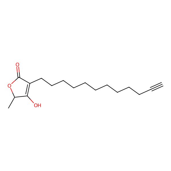 2D Structure of (2S)-4-dodec-11-ynyl-3-hydroxy-2-methyl-2H-furan-5-one