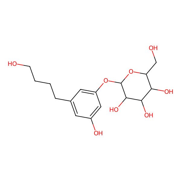 2D Structure of (2S,3R,4S,5S,6R)-2-[3-hydroxy-5-(4-hydroxybutyl)phenoxy]-6-(hydroxymethyl)oxane-3,4,5-triol