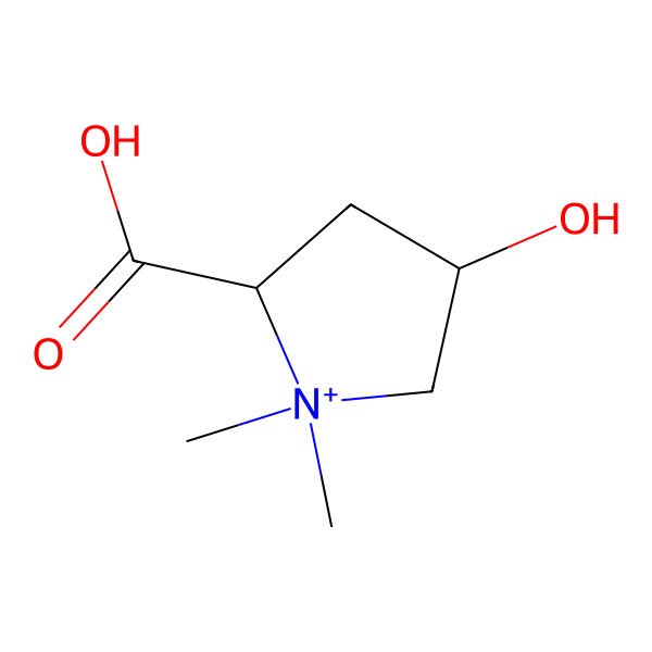 2D Structure of (2S,4R)-4-hydroxy-1,1-dimethylpyrrolidin-1-ium-2-carboxylic acid