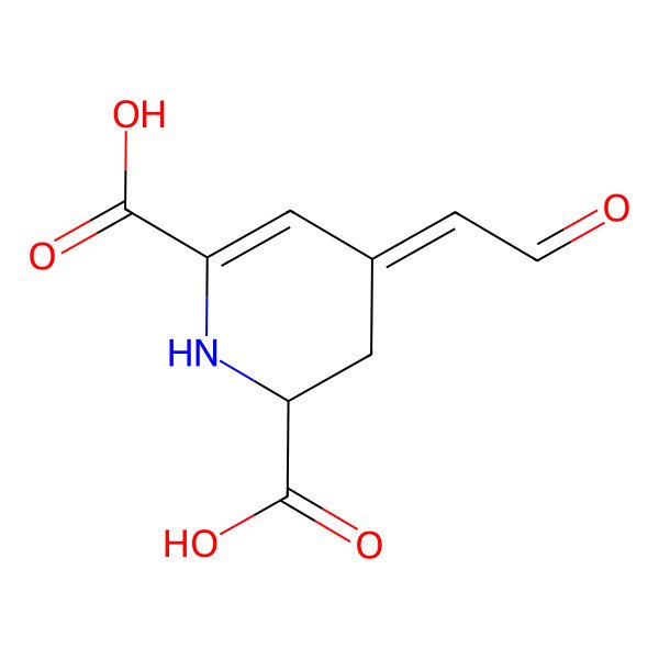 2D Structure of (2S,4Z)-4-(2-oxoethylidene)-2,3-dihydro-1H-pyridine-2,6-dicarboxylic acid