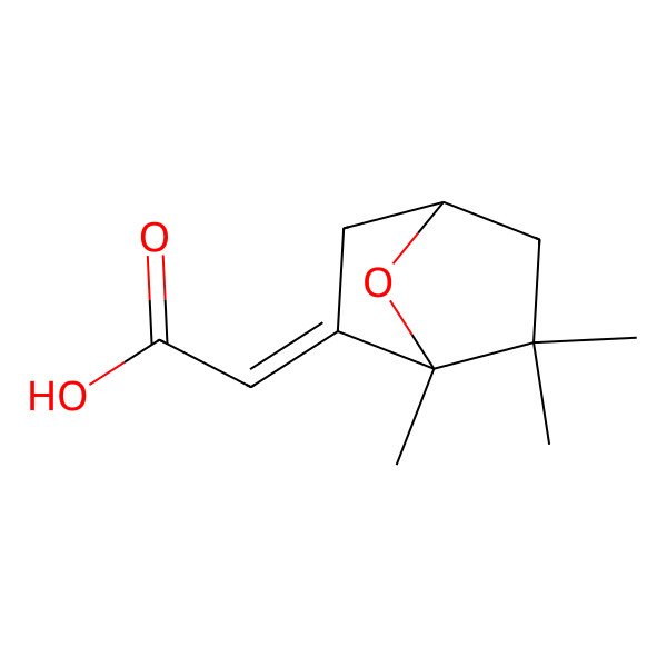 2D Structure of (2Z)-2-[(1R,4S)-1,6,6-trimethyl-7-oxabicyclo[2.2.1]heptan-2-ylidene]acetic acid
