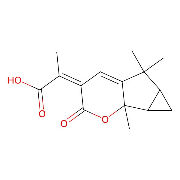 2D Structure of (2Z)-2-[(1S,2S,4R)-1,5,5-trimethyl-9-oxo-10-oxatricyclo[4.4.0.02,4]dec-6-en-8-ylidene]propanoic acid