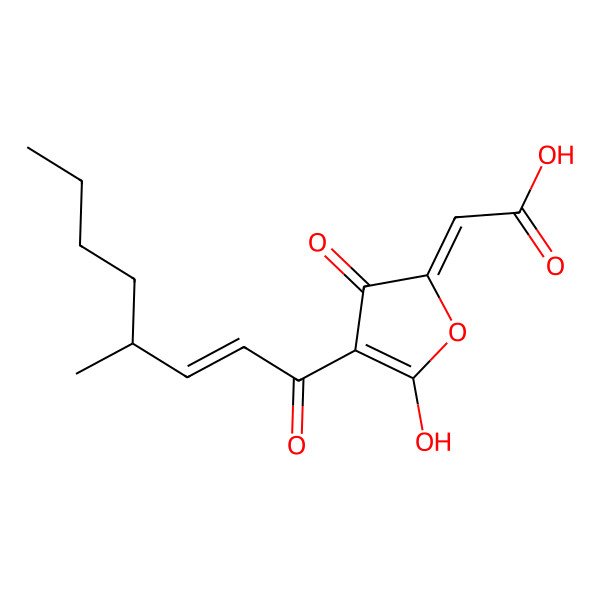2D Structure of (2Z)-2-[5-hydroxy-4-[(E)-4-methyloct-2-enoyl]-3-oxofuran-2-ylidene]acetic acid