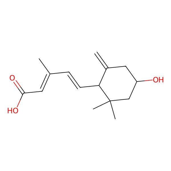 2D Structure of (2Z,4E)-5-[(1R,4S)-4-hydroxy-2,2-dimethyl-6-methylidenecyclohexyl]-3-methylpenta-2,4-dienoic acid