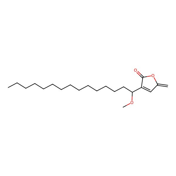 2D Structure of 3-[(1R)-1-methoxypentadecyl]-5-methylidenefuran-2-one