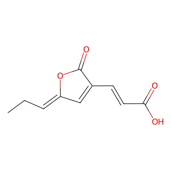2D Structure of 3-(2-Oxo-5-propylidenefuran-3-yl)prop-2-enoic acid