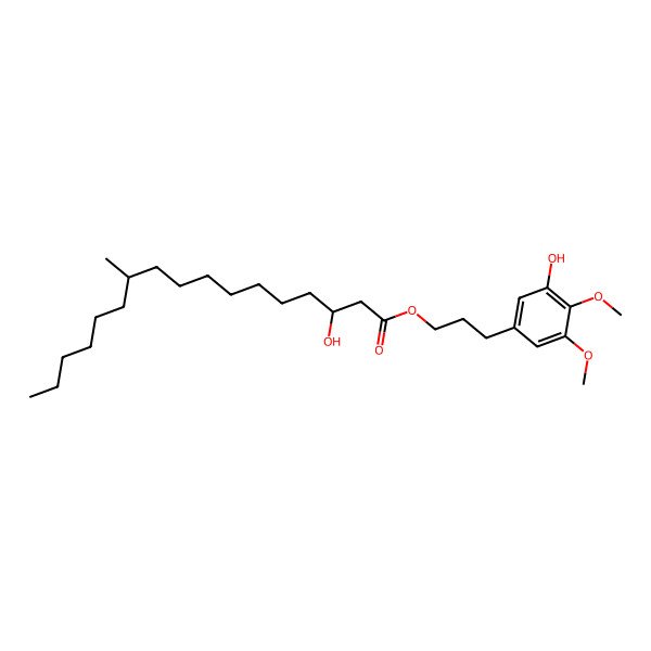 2D Structure of 3-(3-hydroxy-4,5-dimethoxyphenyl)propyl (3S,11S)-3-hydroxy-11-methylheptadecanoate