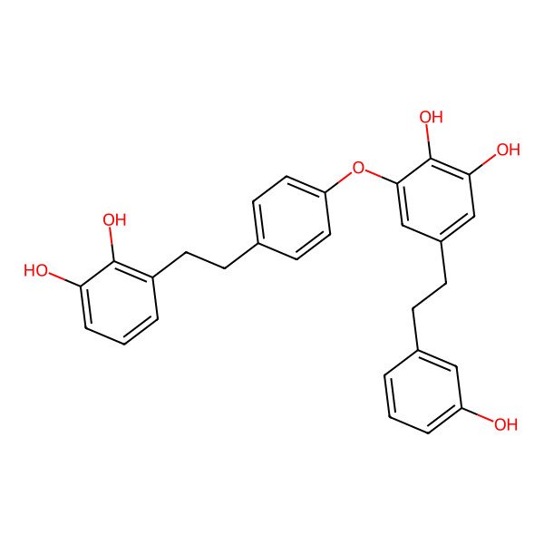 2D Structure of 3-[4-[2-(2,3-Dihydroxyphenyl)ethyl]phenoxy]-5-[2-(3-hydroxyphenyl)ethyl]benzene-1,2-diol