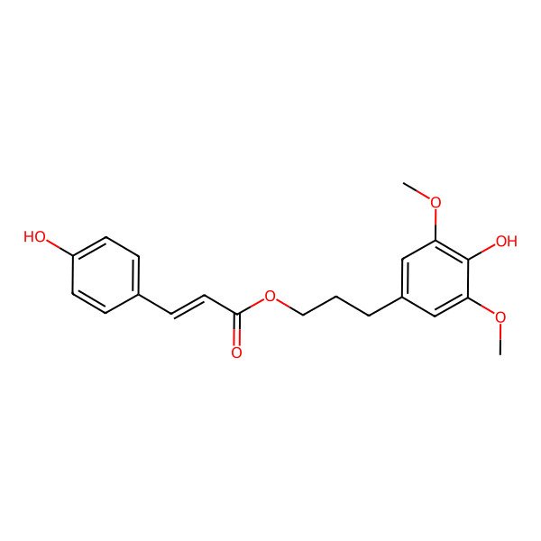 2D Structure of 3-(4-Hydroxy-3,5-dimethoxyphenyl)propyl 3-(4-hydroxyphenyl)prop-2-enoate 2D Structure of 3-(4-Hydroxy-3,5-dimethoxyphenyl)propyl 3-(4-hydroxyphenyl)prop-2-enoate