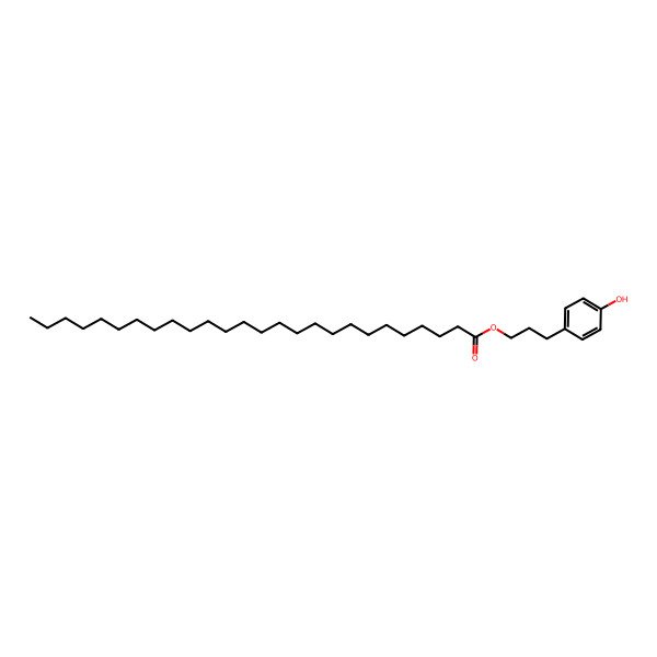 2D Structure of 3-(4-Hydroxyphenyl)propyl hexacosanoate 2D Structure of 3-(4-Hydroxyphenyl)propyl hexacosanoate