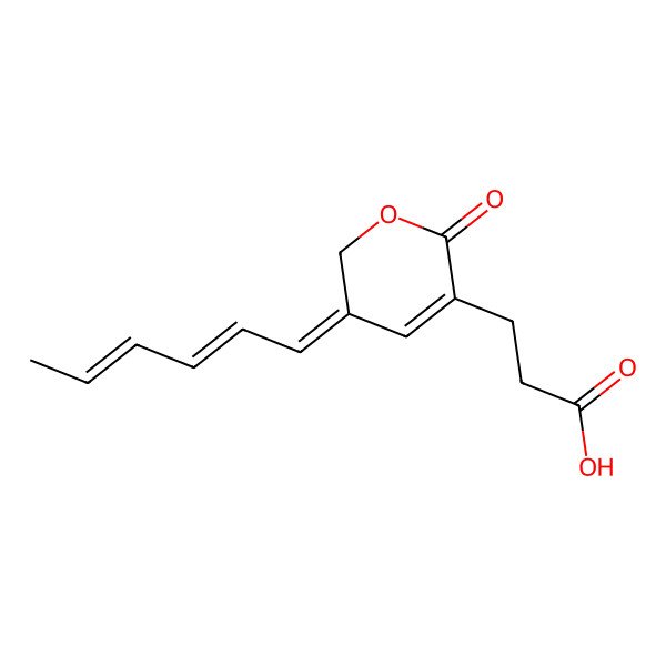 2D Structure of 3-(5-Hexa-2,4-dienylidene-2-oxopyran-3-yl)propanoic acid
