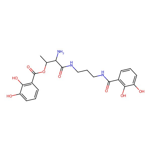 2D Structure of [3-Amino-4-[3-[(2,3-dihydroxybenzoyl)amino]propylamino]-4-oxobutan-2-yl] 2,3-dihydroxybenzoate