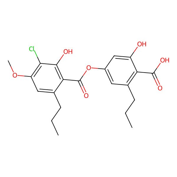 2D Structure of 3-Chlorodivaricatic acid