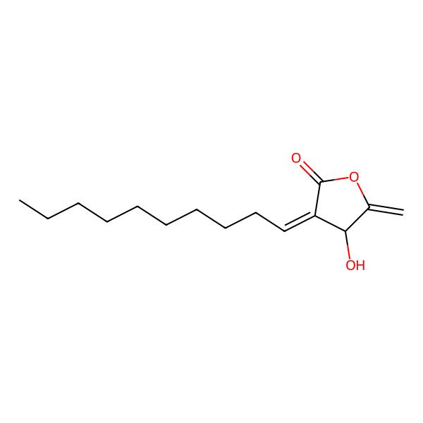 2D Structure of 3-Decylidene-4-hydroxy-5-methylideneoxolan-2-one 2D Structure of 3-Decylidene-4-hydroxy-5-methylideneoxolan-2-one