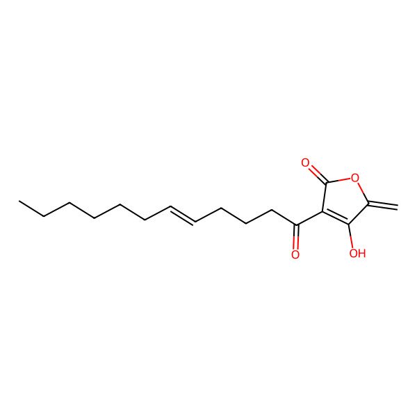 2D Structure of Agglomerin B