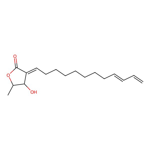 2D Structure of 3-Dodeca-9,11-dienylidene-4-hydroxy-5-methyloxolan-2-one